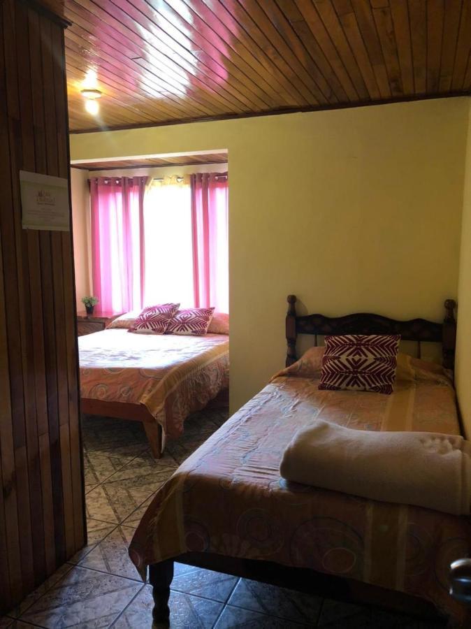 Monteverde Monkey Hostel Экстерьер фото