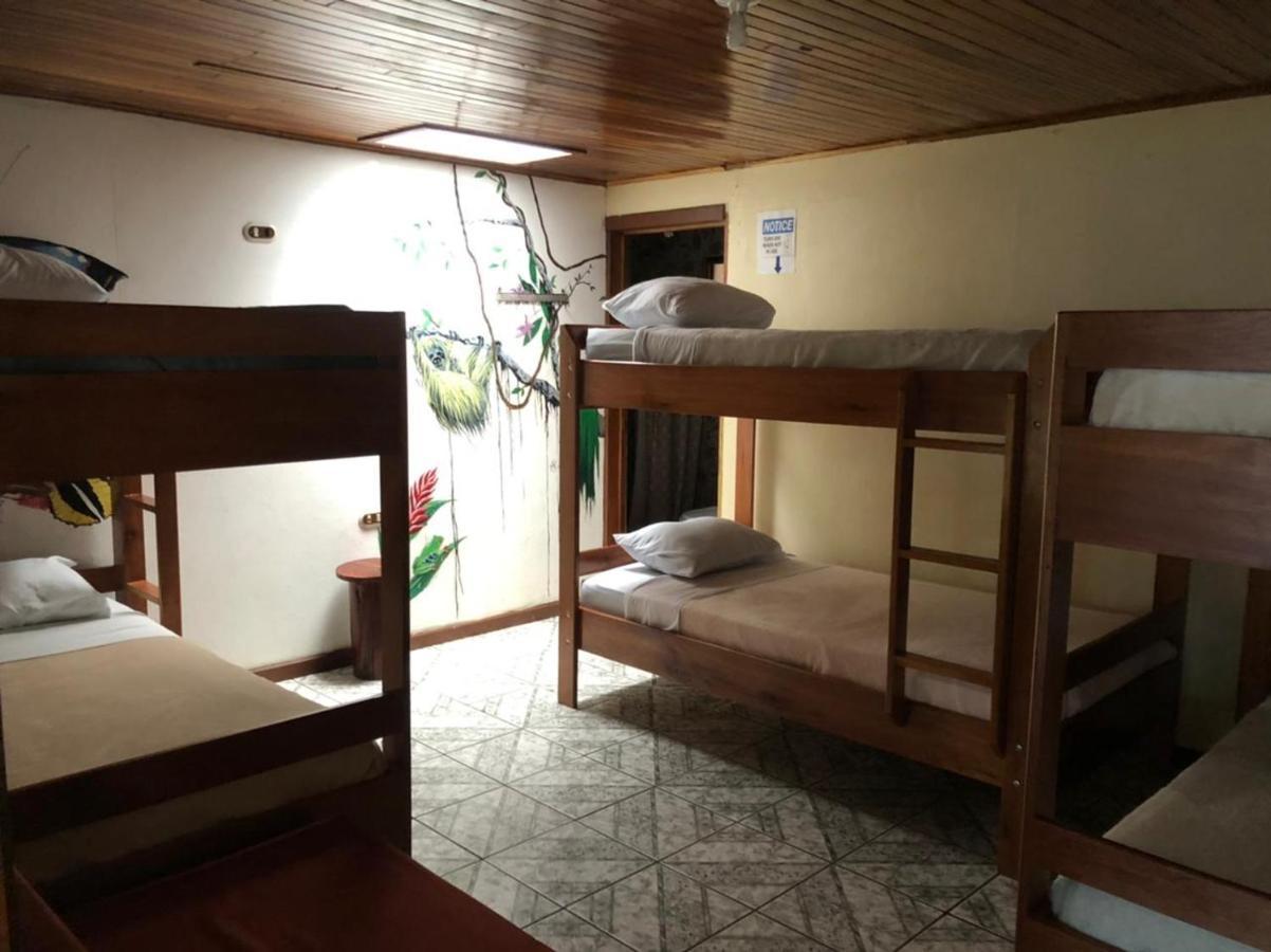 Monteverde Monkey Hostel Экстерьер фото