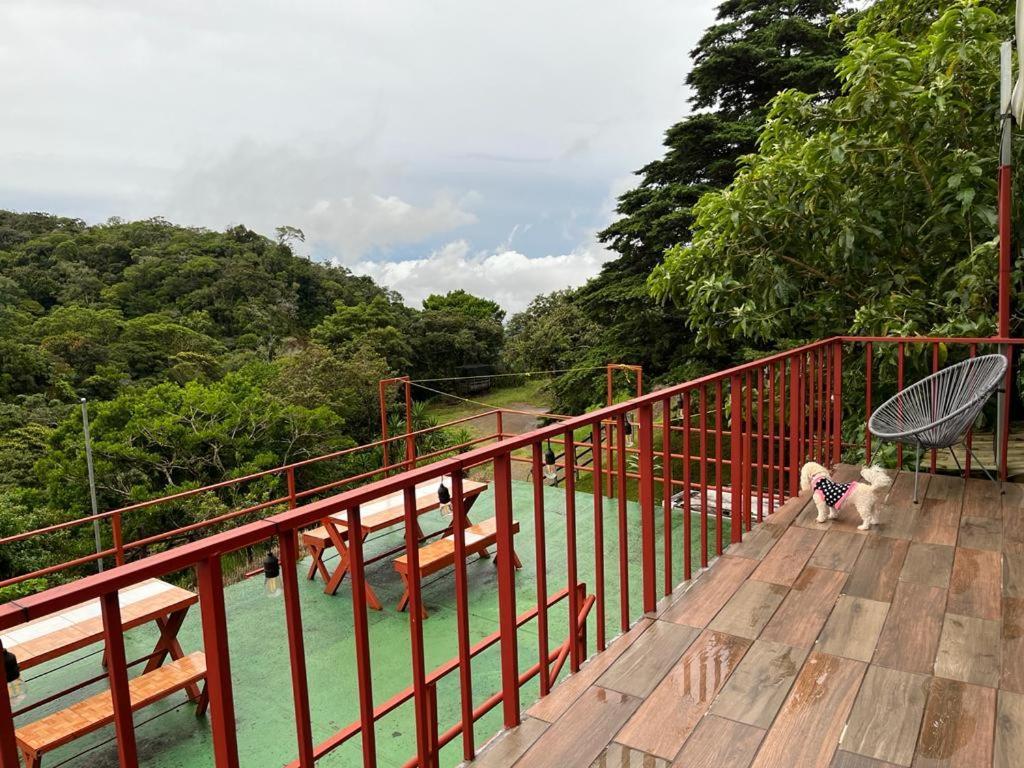 Monteverde Monkey Hostel Экстерьер фото
