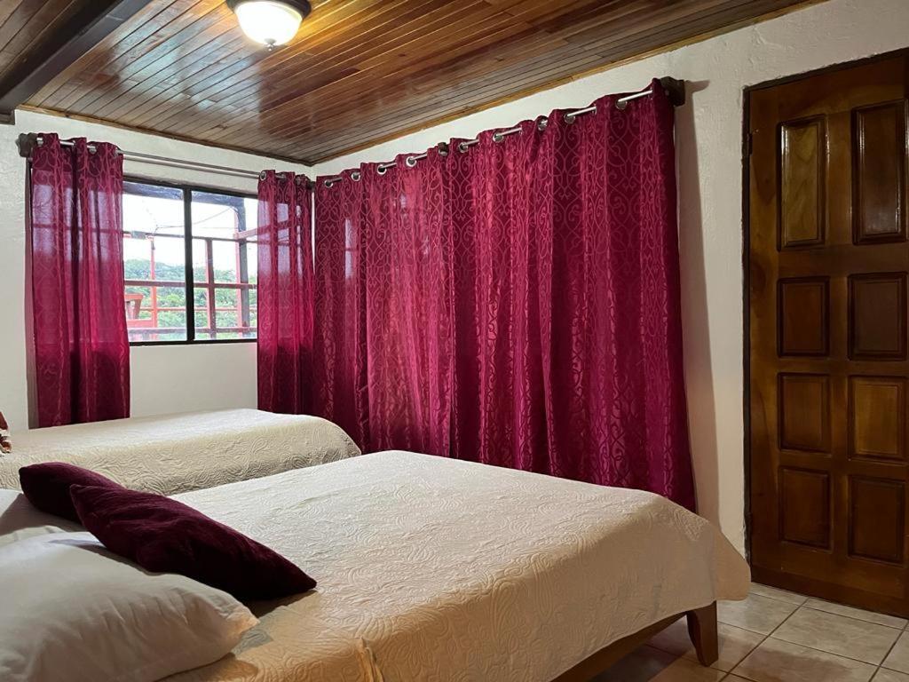 Monteverde Monkey Hostel Экстерьер фото