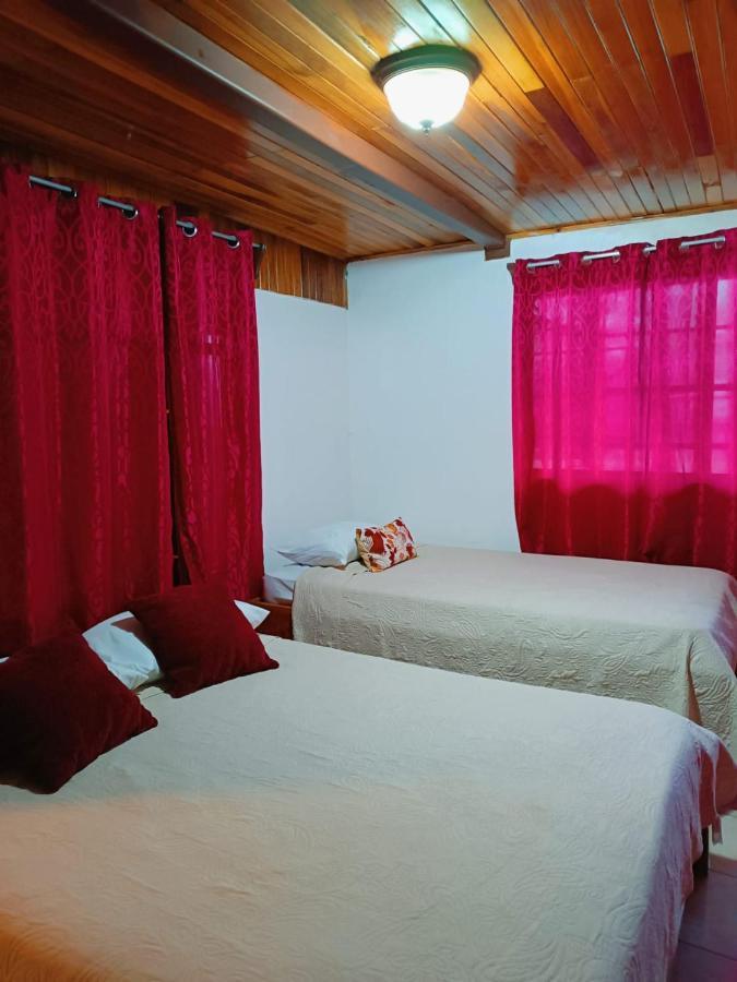 Monteverde Monkey Hostel Экстерьер фото