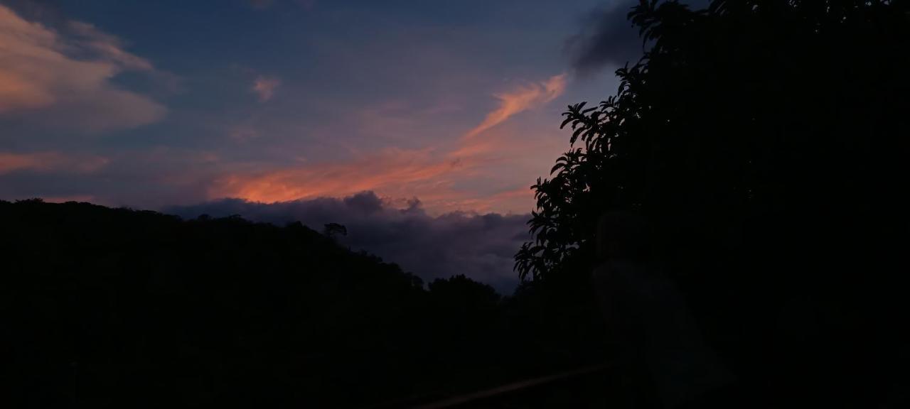 Monteverde Monkey Hostel Экстерьер фото